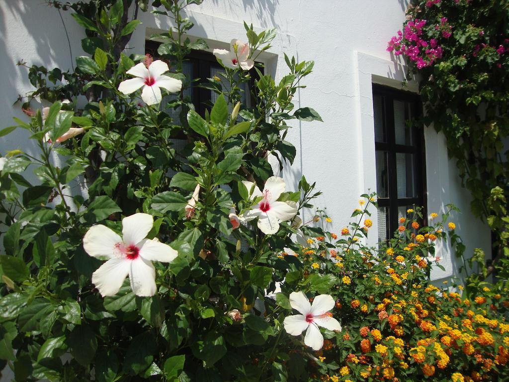 Mimosa Apart Hotel Gumbet Zewnętrze zdjęcie